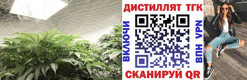 ТГК концентрат как найти наркотики Чадан