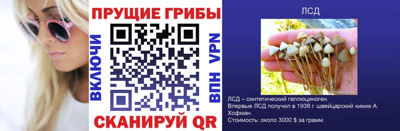 Псилоцибиновые грибы прущие грибы Чадан